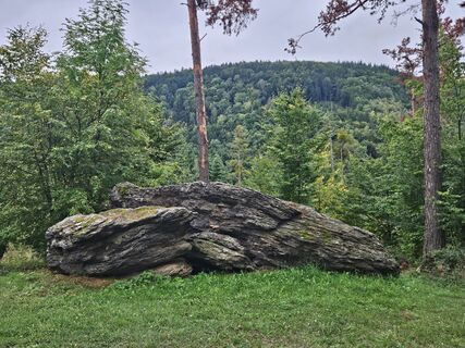 Zdjęcie z Werner Huber wzdłuż trasy
