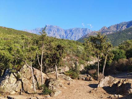 Fotografija s spletne strani Lodovica Vecchi na poti