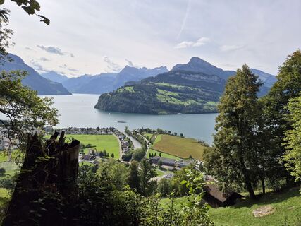Foto de alinradu a lo largo del recorrido