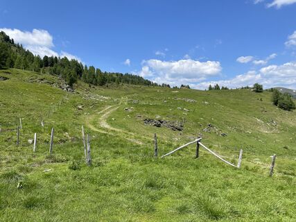 Foto von Thorsten Schulze entlang der Tour