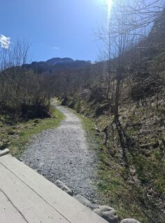Fotografija s spletne strani Jasia307kramek na poti