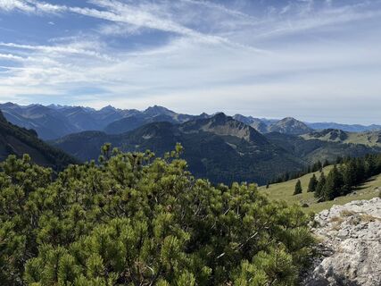 Photo de Dr. Katarzyna Milkowska-Leyck le long du parcours