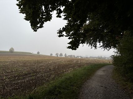 Foto von Pascal Oliver Hauser entlang der Tour