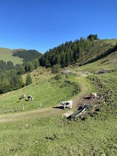 Photo de Henriette Zeltner le long du parcours