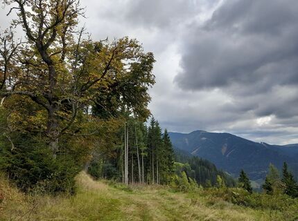 Foto de Wolfgang Schmied a lo largo del recorrido
