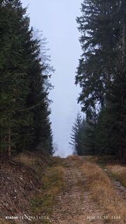 Foto från damilaja242 under resans gång