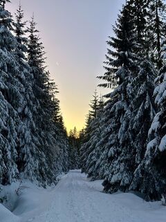 Zdjęcie z Natur_erleben_dg wzdłuż trasy