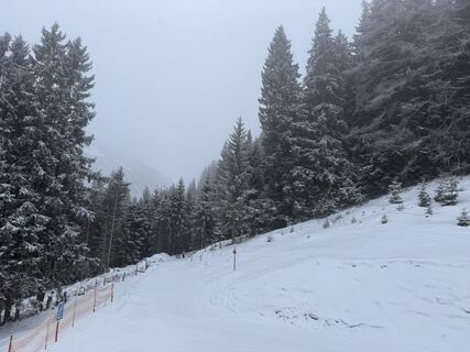 Fotografija s spletne strani Michaelgruendel na poti