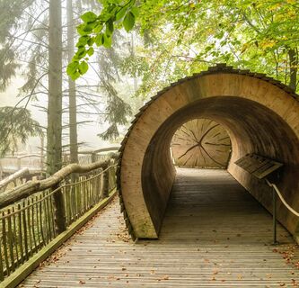Wilder Weg