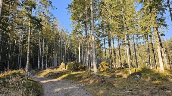 Fotografija s spletne strani Andrea 36 na poti