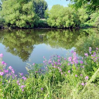 Die Lahn bei Solms-Oberbiel
