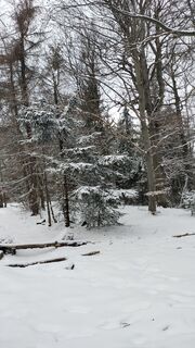 Fotografia z Eva Misakova na trase
