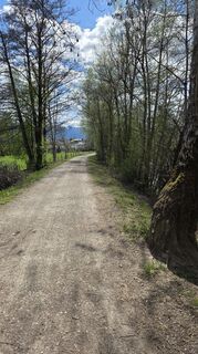 Zdjęcie z Martin Lexa wzdłuż trasy