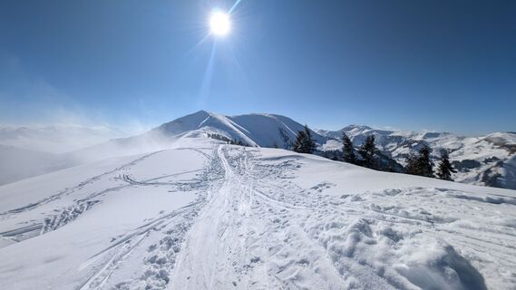 Foto från Klaus Lehner under resans gång