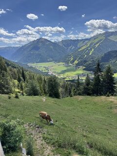Foto von Rebeka Szabó 2 entlang der Tour