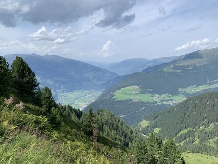 Photo de Koen De Wit le long du parcours