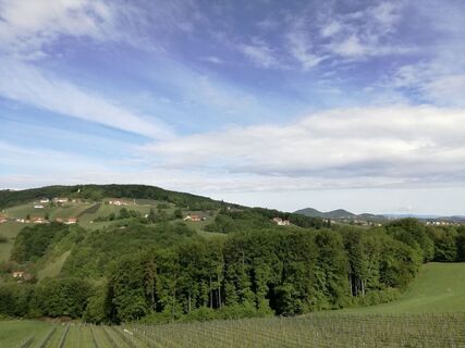 Ausblick von St. Anna am Aigen zu den Gleichenberger Kogeln