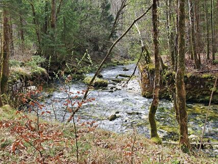 Photo de Brigitte Blaschek le long du parcours