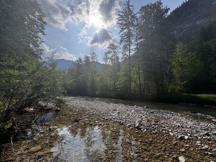 Fotografie de la Friederike Steyrer de-a lungul turului