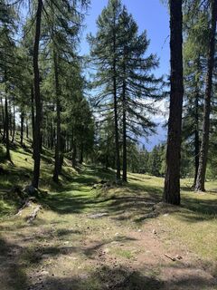 Foto de Jerry Geimer a lo largo del recorrido