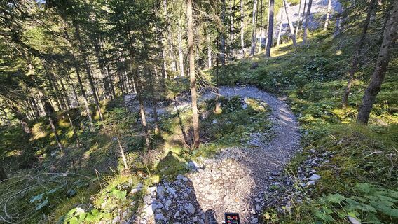 Fotografie z Rotwild na trase