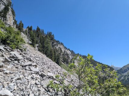 Fotografija s spletne strani mtmc na poti