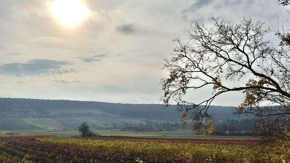 Photo from Claudia Maurer along the tour