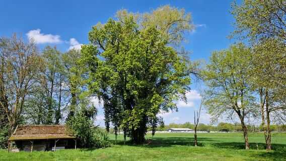 Fotografie z Gerrit van der Linde na trase