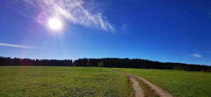 Fotografia z Klaus Lehner na trase