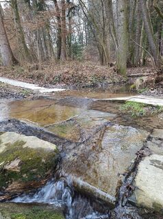 Photo de Mimi le long du parcours
