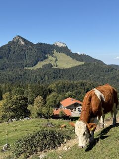 Fotografija s spletne strani Stefan Hellmann na poti