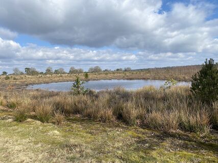 Foto de Roy de Vries a lo largo del recorrido