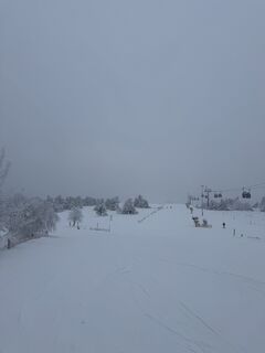 Fotografia z Felix Krall na trase