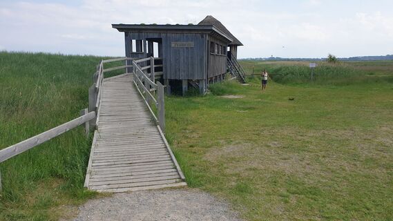 Fotografia z Andreas Porsche na trase