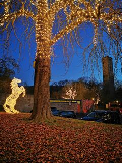 Lichterzauber Hann. Münden, Pferd vor dem Welfenschloss