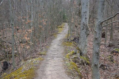 Ettlinger Linien