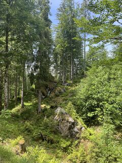 Foto von Julia Wimmer 4 entlang der Tour