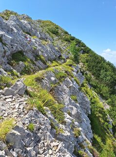 Foto von Dagmar Hofer entlang der Tour