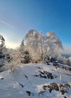 Photo de Bernadette Erla le long du parcours