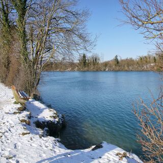 Aargauer Hochrhein Winterwanderung