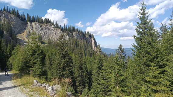 Zdjęcie z Bergpirat wzdłuż trasy