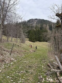 Photo de NezSari le long du parcours