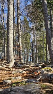 Foto von Grieshofer Gerlinde entlang der Tour
