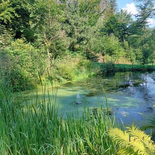 Elgersburg, Teich Nähe Tretbecken