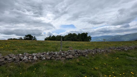 Zdjęcie z Richard Schwald wzdłuż trasy