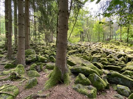 Zdjęcie z Arthur Muskalla wzdłuż trasy