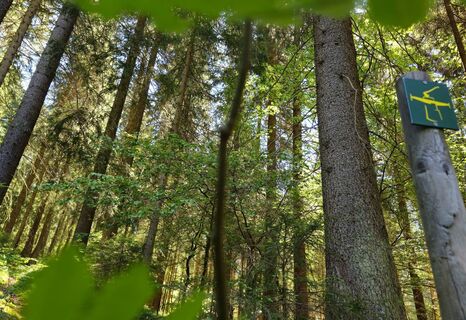 Naturschutzgebiet Drei Bächel