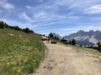 Foto von Christian Schindlbeck entlang der Tour