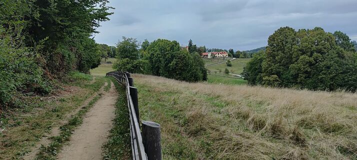 Fotografija s spletne strani wolfkl na poti