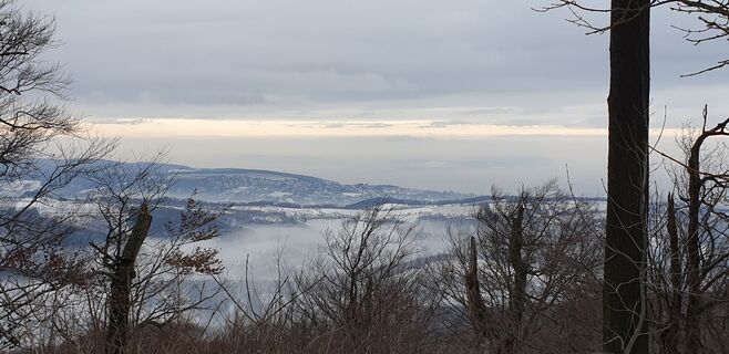 Foto de Georg B. Meier a lo largo del recorrido